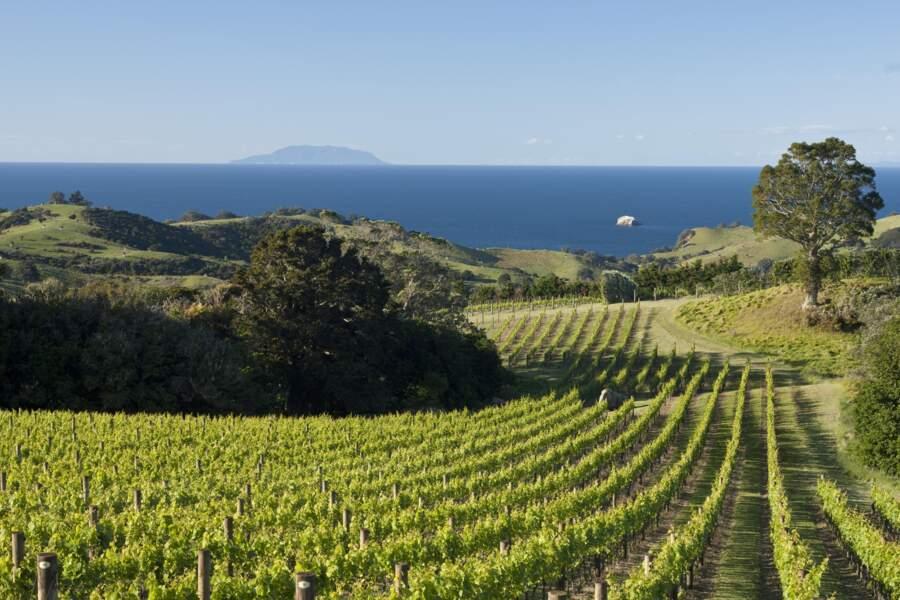 New Zealand: 10 things you shouldn't miss