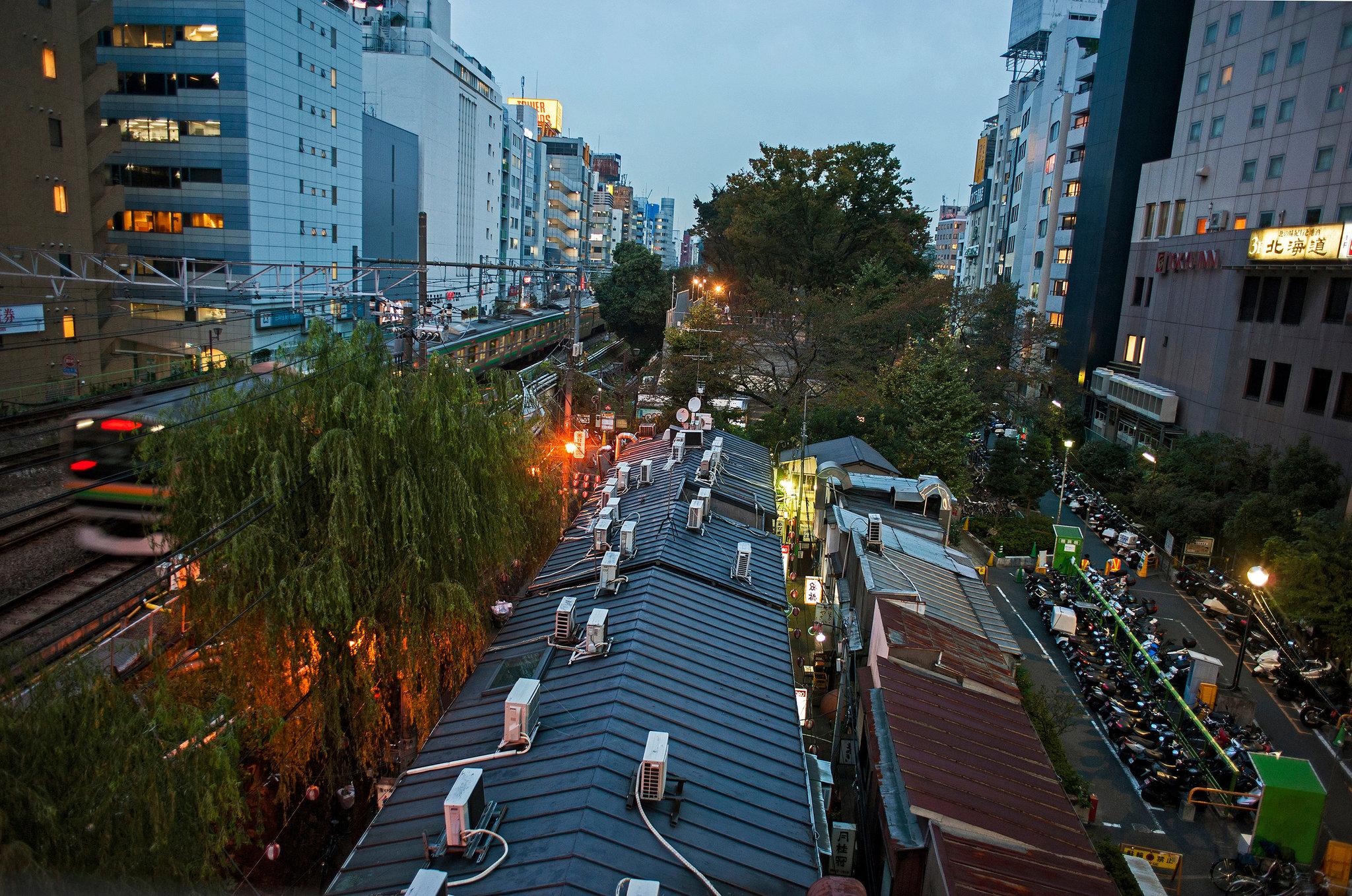 A Guide to Tokyo, From an Outsider (and Insider) 